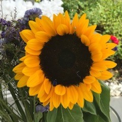 Sommer ... Sonne...Hautschutz! Sommer ... Sonne...Hautschutz!
